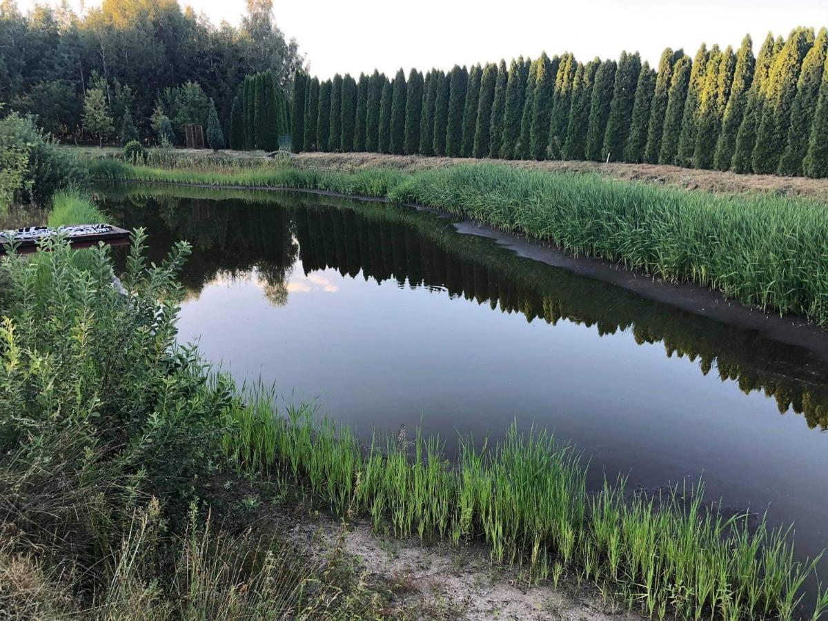 Domek Na Wsi Nad Jeziorem , Prywatny Staw Kamienczyk Dezerta المظهر الخارجي الصورة