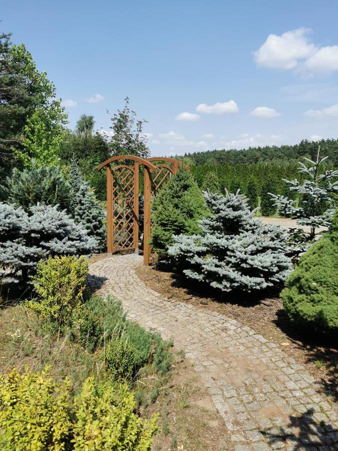 Domek Na Wsi Nad Jeziorem , Prywatny Staw Kamienczyk Dezerta المظهر الخارجي الصورة
